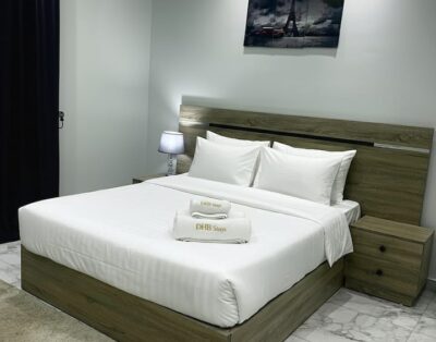DHB STAYS | 1BR Apartment near Tahrir Square Cairo – G401